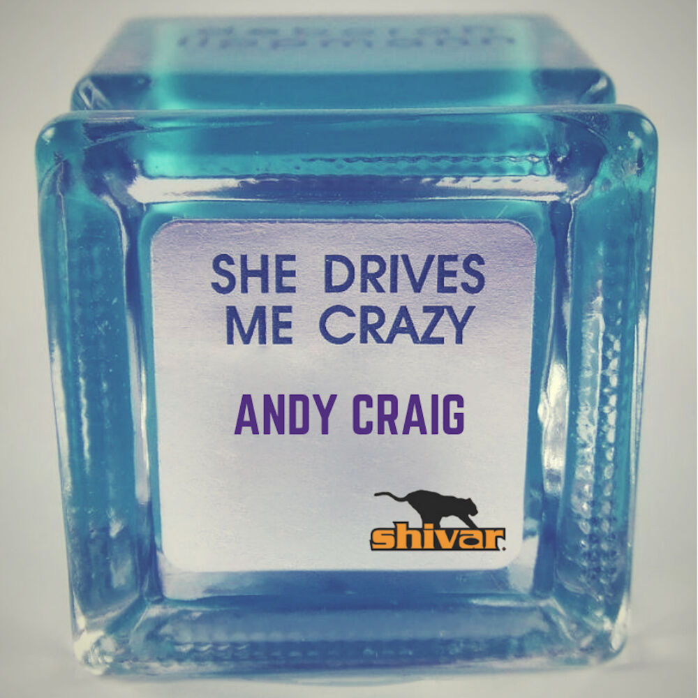 You say me crazy. She Drives me Crazy. ООО Анди Crazy. She Drives me Crazy книга на русском.