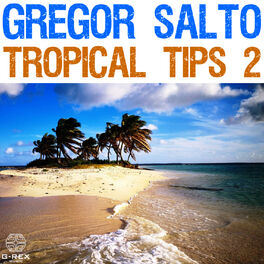 Album cover of Gregor Salto - Tropical Tips 2