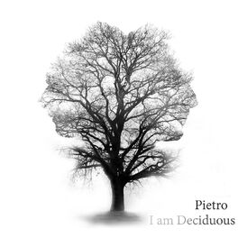 Album cover of I Am Deciduous