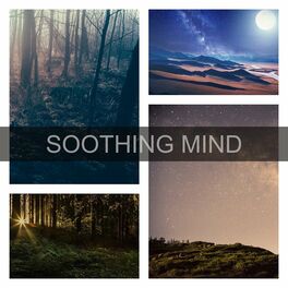Album cover of Soothing Mind