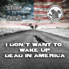 Album cover of I Don't Want To Wake Up Dead In America (feat. Storm Of Crows)