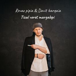 Album cover of Tical voret margalepi (feat. Davit Barqaia)