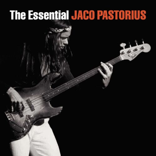 Jaco Pastorius - Opus Pocus (Album Version): listen with lyrics