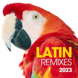 Album cover of Latin Remixes 2023