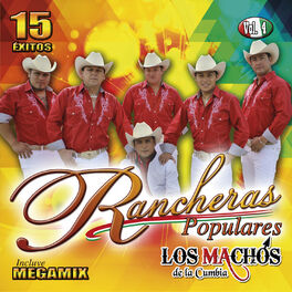Album cover of Rancheras Populares (Vol. 4)