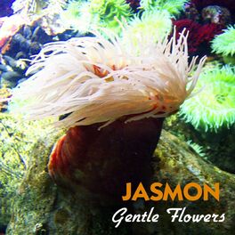 Album cover of Gentle Flowers