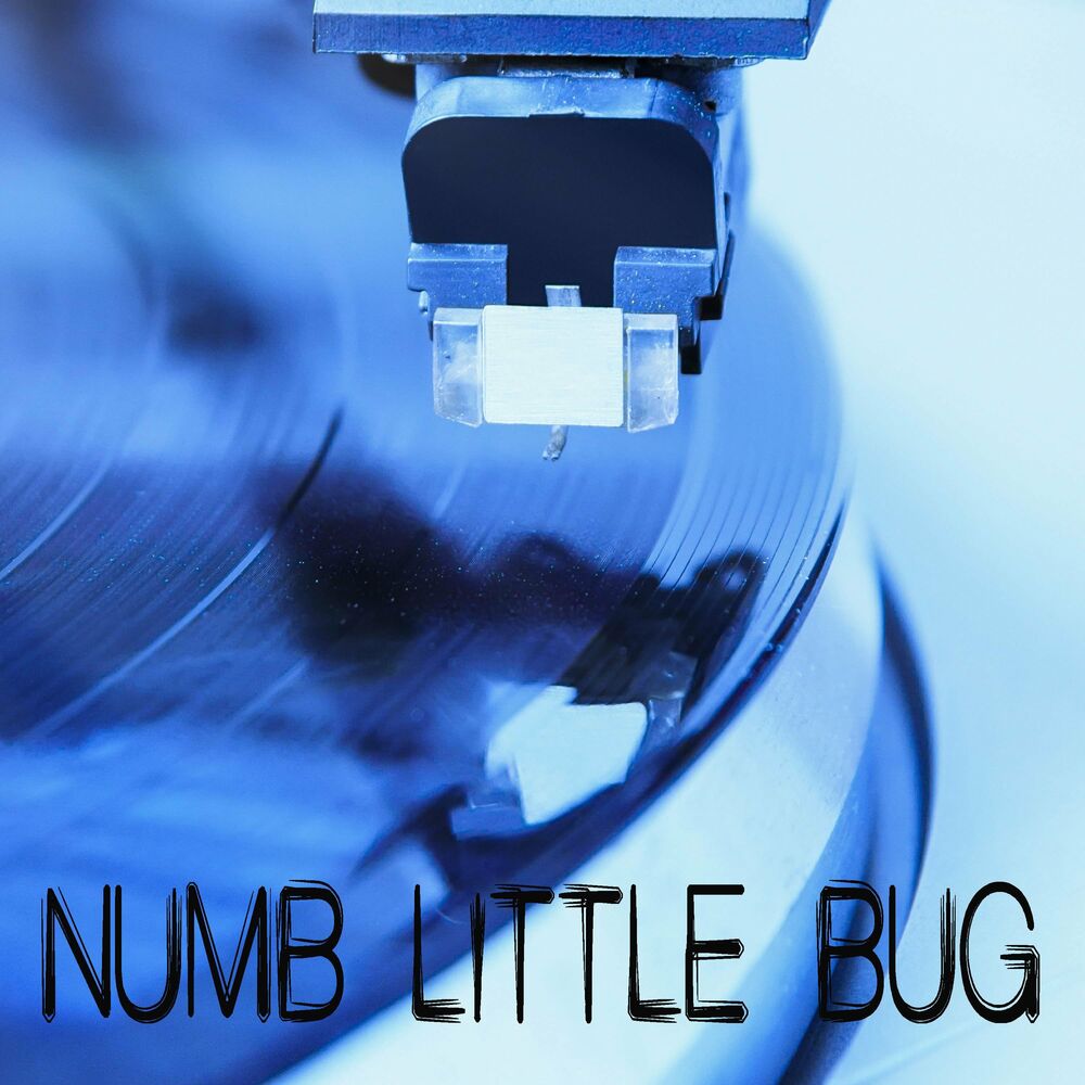 Numb little bug 1 hour