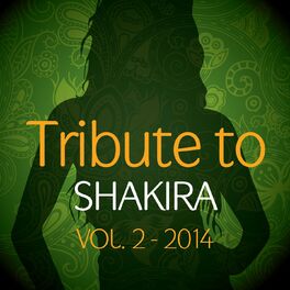 Album cover of Tribute to Shakira, Vol. 2