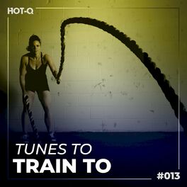 Album cover of Tunes To Train To 013