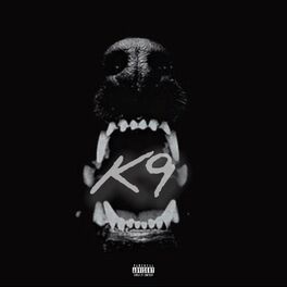 Album cover of K9 (feat. Fiji)