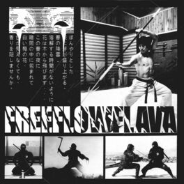 Album cover of Secret Ninja