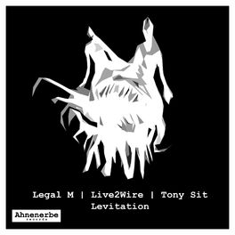 Album cover of Levitation