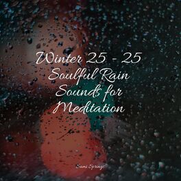 Album cover of Winter 25 - 25 Soulful Rain Sounds for Meditation