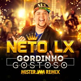 Album cover of Gordinho Gostoso - Mister Jam Remix