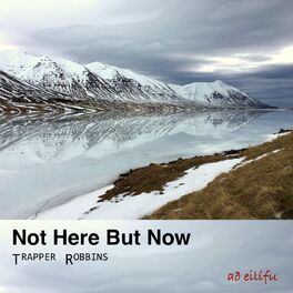 Album cover of Not Here but Now