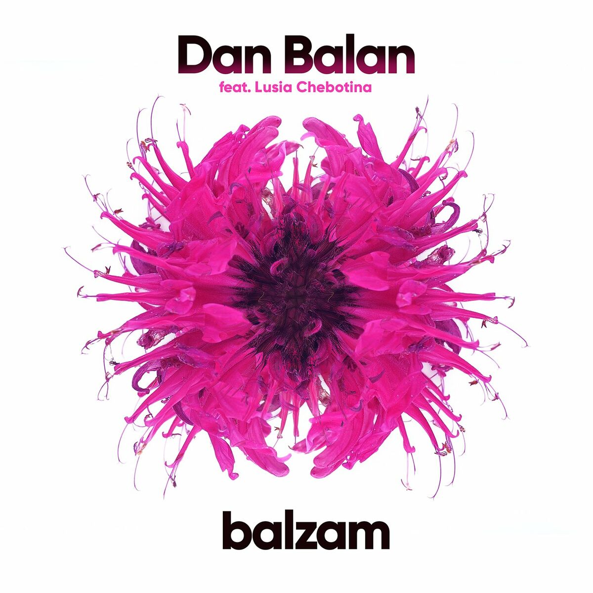 Dan Balan: albums, songs, playlists | Listen on Deezer