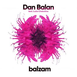 Album cover of Balzam