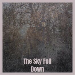 Album cover of The Sky Fell Down