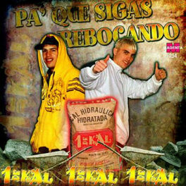 Album cover of Pa ' Que Sigas Rebocando