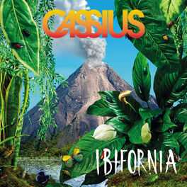 Album cover of Ibifornia