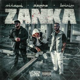 Album cover of Zanka