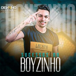 Album cover of Sucessos do Boyzinho