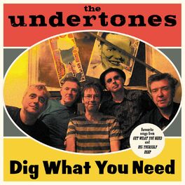 Album cover of Dig What You Need