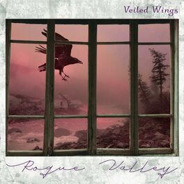 Album cover of Veiled Wings
