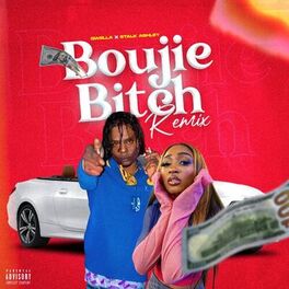 Album cover of Boujie Bitch (Remix)