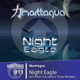 Album cover of Night Eagle