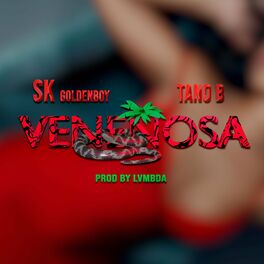 Album cover of Venenosa (feat. SK GoldenBoy & Lvmbda)