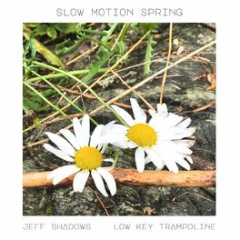 Album cover of Slow Motion Spring