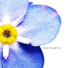 Album cover of Never Forget You (feat. Lisa Peterson)