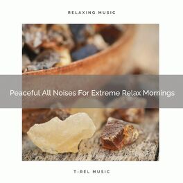 Album cover of Peaceful All Noises For Extreme Relax Mornings