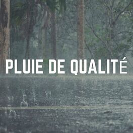 Album cover of Pluie de Qualité