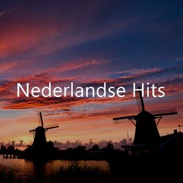Album cover of Nederlandse Hits