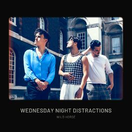 Album cover of Wednesday Night Distractions