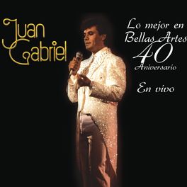 Album cover of Lo Mejor en Bellas Artes - 40 Aniversario