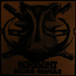 Album cover of Second Assault