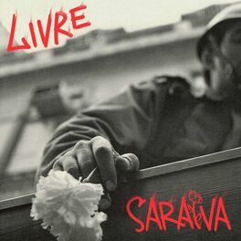 Album cover of Livre