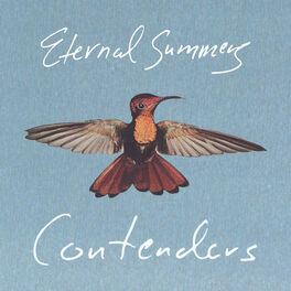 Album cover of Contenders
