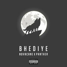 Album cover of Bhediye (feat. Panther)