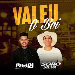 Album cover of Valeu o Boi