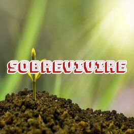 Album cover of Sobreviviré