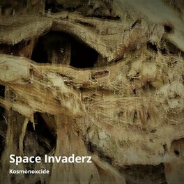 Album cover of Space Invaderz