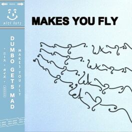 Album cover of Makes You Fly
