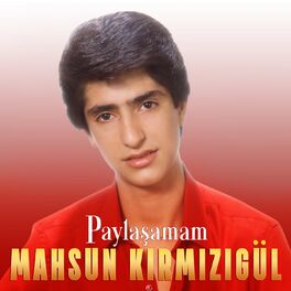 Album cover of Paylaşamam
