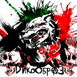 Album cover of Дикообраз!