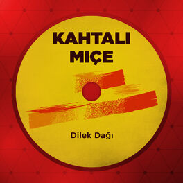 Album cover of Dilek Dağı