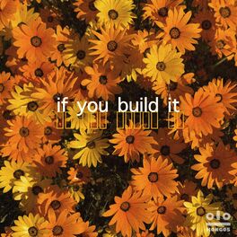 Album cover of If You Build It